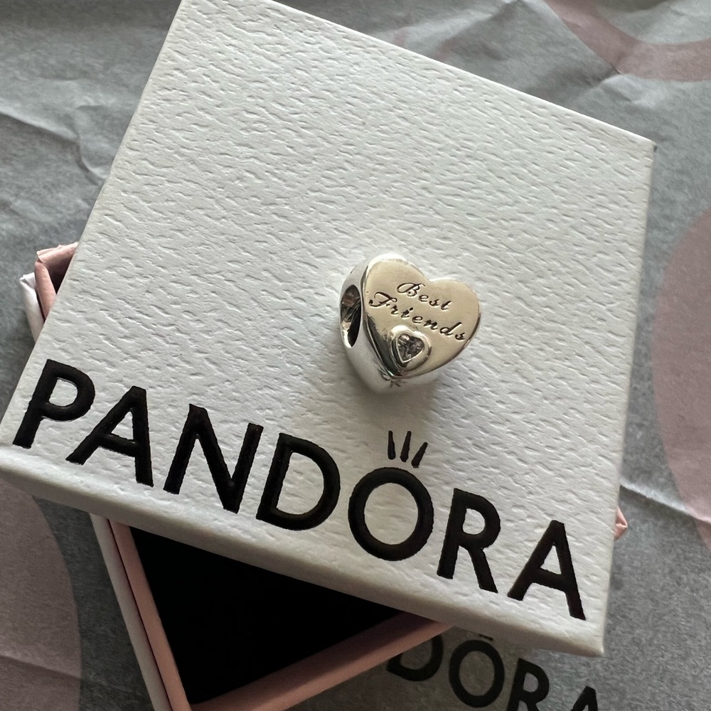 New Pandora Charm